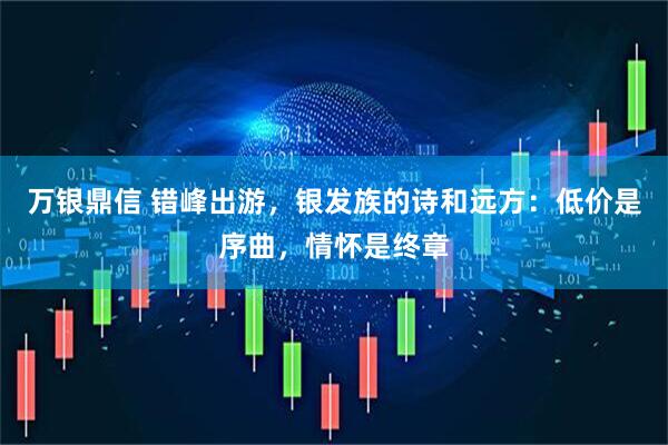 万银鼎信 错峰出游，银发族的诗和远方：低价是序曲，情怀是终章
