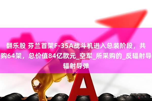 翻乐股 芬兰首架F-35A战斗机进入总装阶段，共订购64架，总价值84亿欧元_空军_所采购的_反辐射导弹