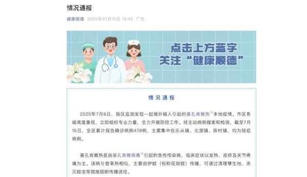 点点盈 广东佛山顺德确诊478例！医生建议如何应对基孔肯雅热疫情