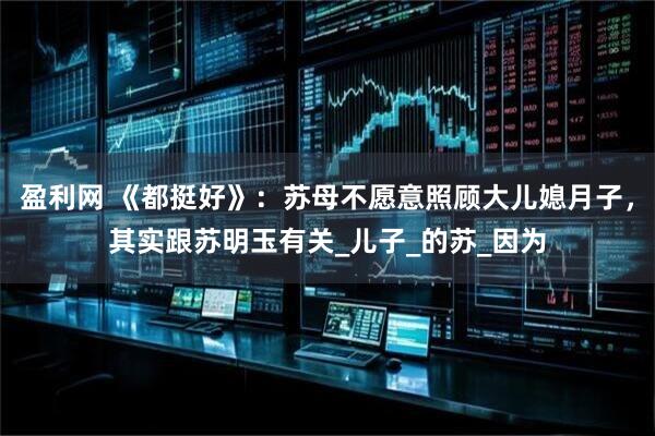 盈利网 《都挺好》：苏母不愿意照顾大儿媳月子，其实跟苏明玉有关_儿子_的苏_因为