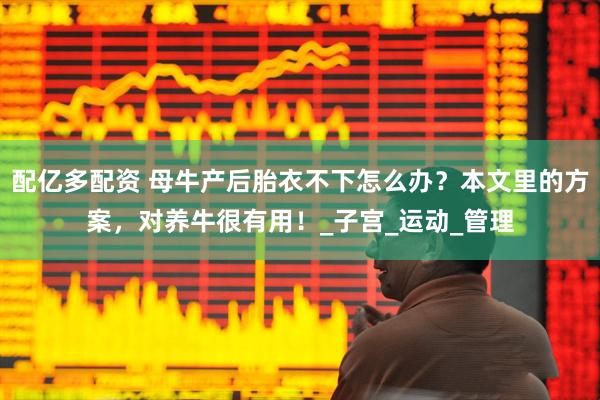 配亿多配资 母牛产后胎衣不下怎么办？本文里的方案，对养牛很有用！_子宫_运动_管理